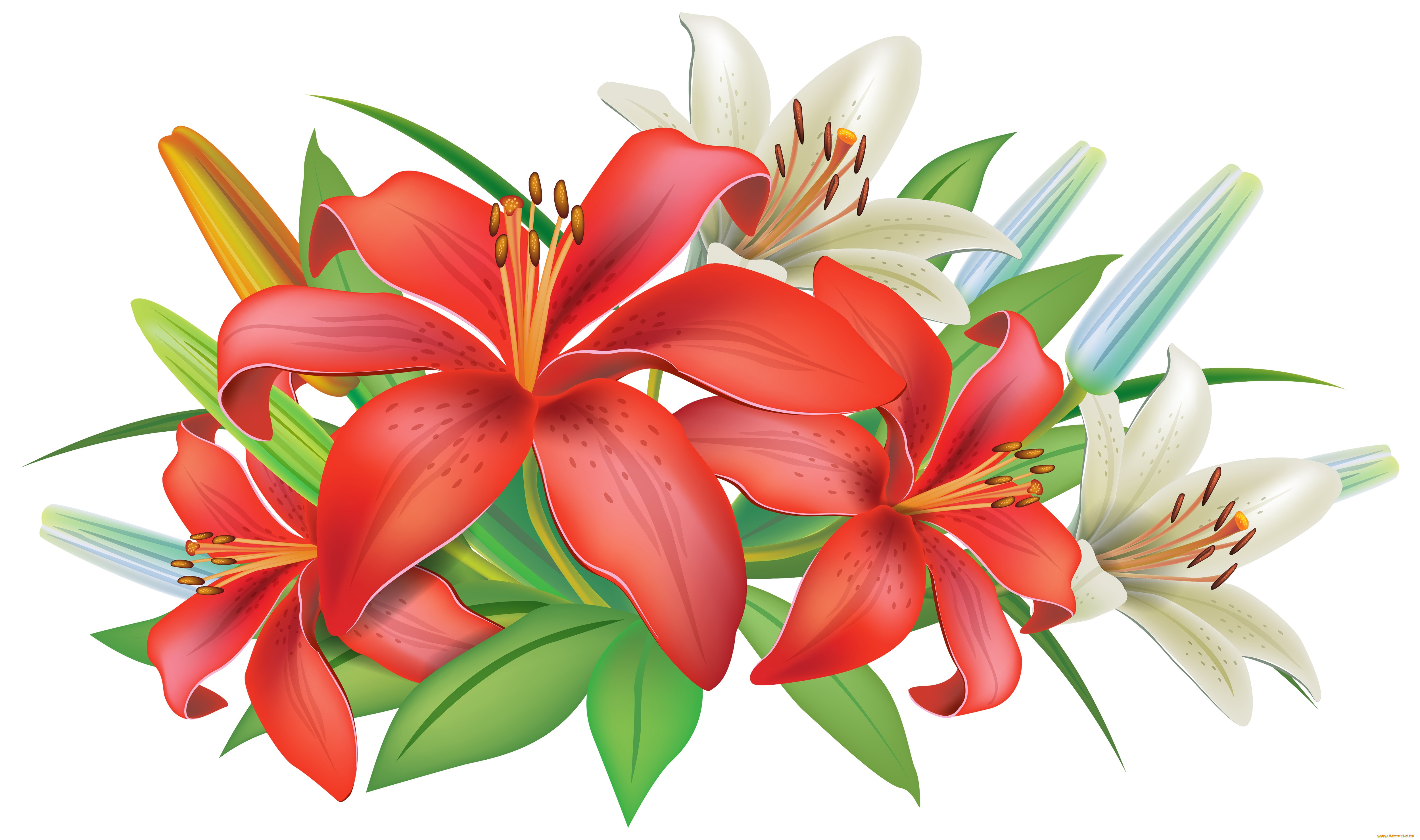  ,  , flowers, , 